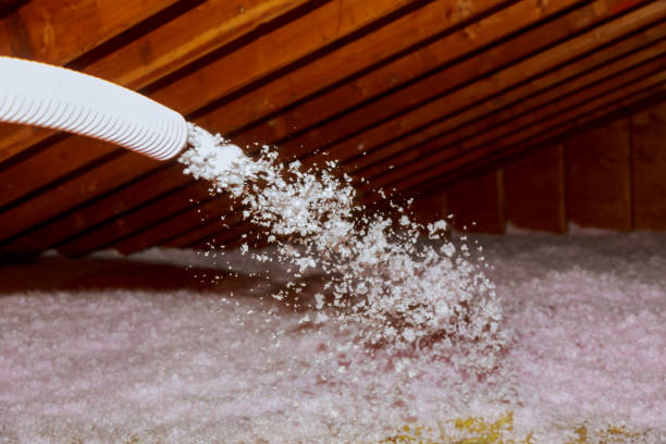Best Insulation Maintenance and Repair in Kinder, LA
