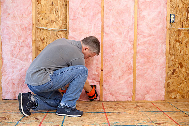 Best Insulation Materials and Products in Kinder, LA